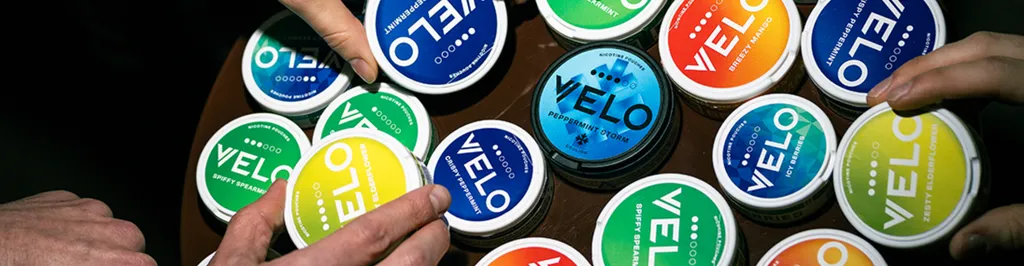 Velo Online Adventures Await