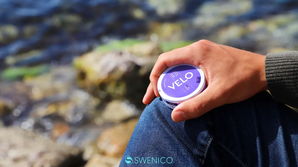 Zyn Nicotine Mints A Fresh Alternative